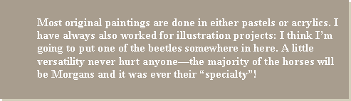 Text Box: Most original paintings are done in either pastels or acrylics. I have always also worked for illustration projects: I think I’m going to put one of the beetles somewhere in here. A little versatility never hurt anyone—the majority of the horses will be Morgans and it was ever their “specialty”!